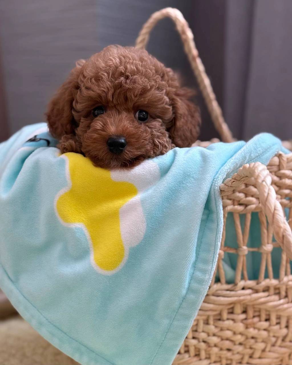 luna