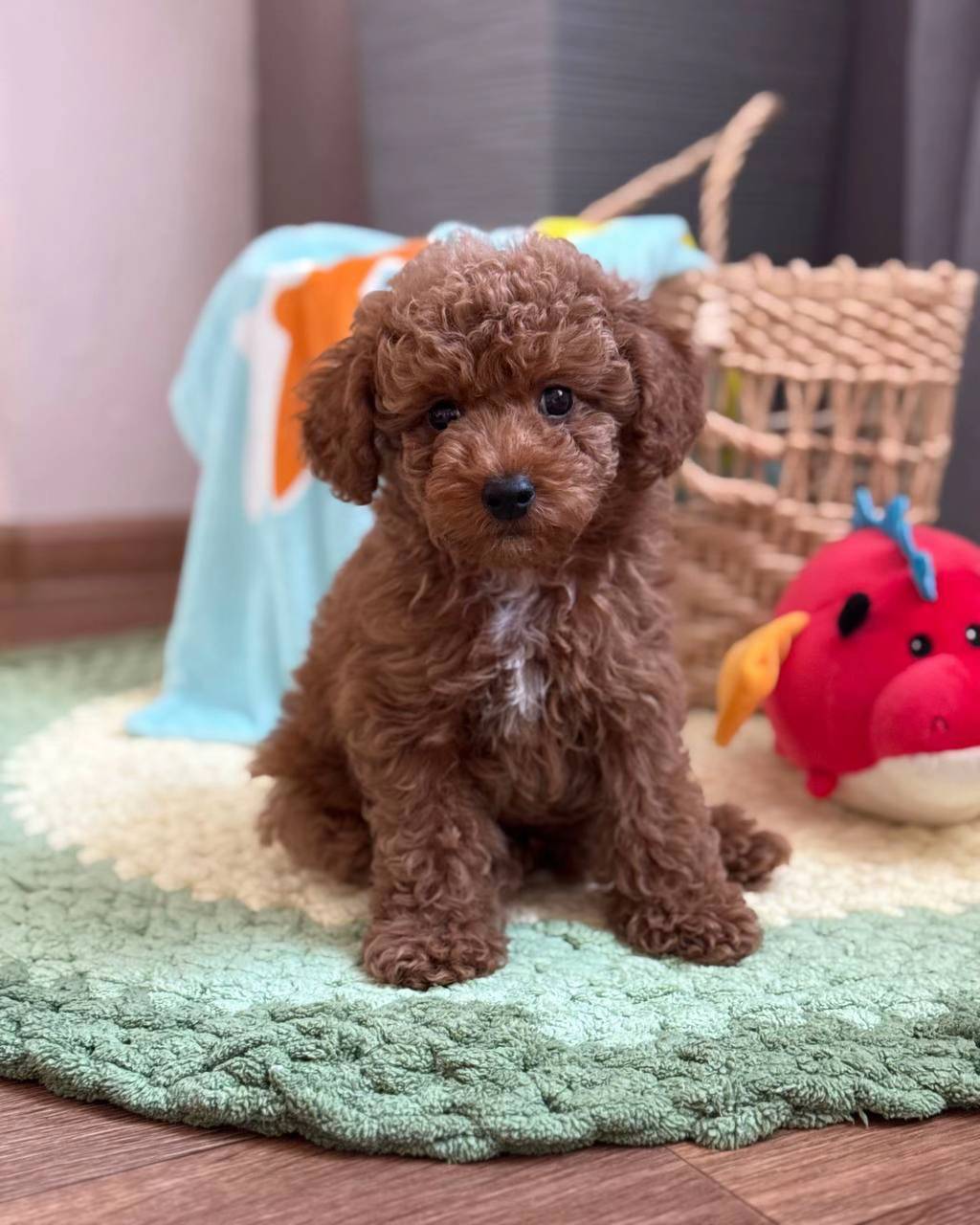 luna