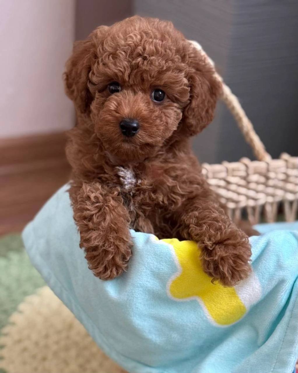 luna