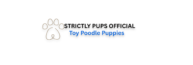 cropped liftapp 1.png